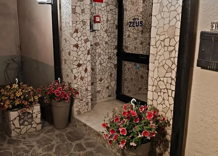Hotel Zeus