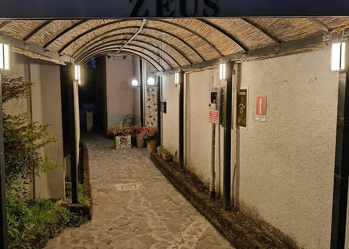 Hotel Zeus 3*